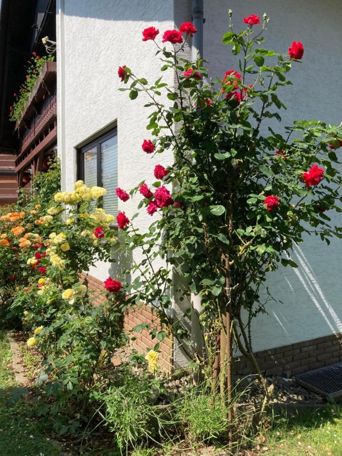 Ferienwohnung Rosengarten Osburg ภายนอก รูปภาพ